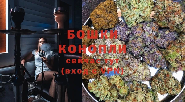 ГАЛЛЮЦИНОГЕННЫЕ ГРИБЫ Наволоки