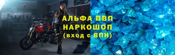 сатива Надым